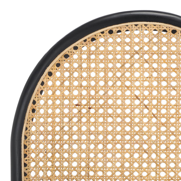 Safavieh Laylie Rattan And Leather Dining Chair - Chic Comfort Meets Sophisticated Design For Your Space Black Wood ,Leather ,Rattan Sfv1607a-set2