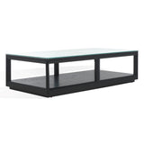 Safavieh Benecarlo Wood And Glass Top Coffee Table Black / Clear SFV2159B