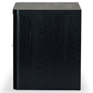 Safavieh Raylie 2 Drawer Wood Nightstand Black SFV2164B