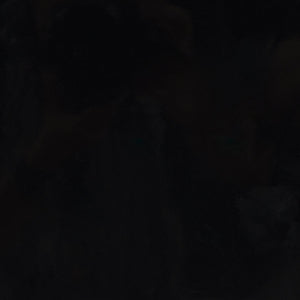 Safavieh Joyrosa Concrete High Gloss Finish Accent Table - Stylish Modern Design For Any Contemporary Space Black 100% Concrete Sfv2620a