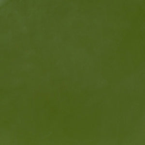 Safavieh Noelly Concrete High Gloss Finish Accent Table - Modern Design For Stunning Living Room Style Olive Green 100% Concrete Sfv2621c