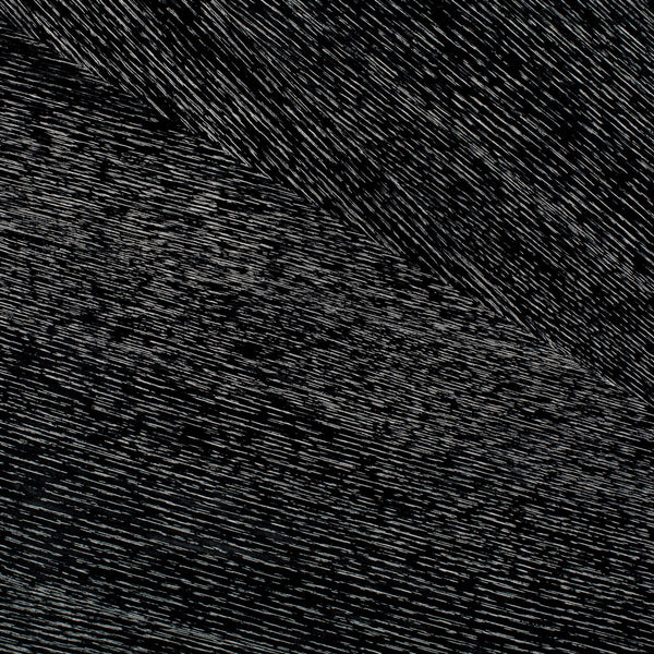 Safavieh Iggy Modern Sideboard XII23 Black Cerused Oak / Nickel Wood / Metal SFV3586B