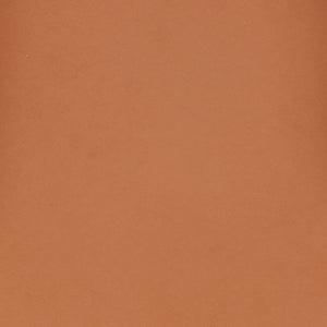 Safavieh Eamon Leather And Cane Dining Chair X23 Natural / Brown 21.5 IN W x 21.2 IN D x 29.9 IN H