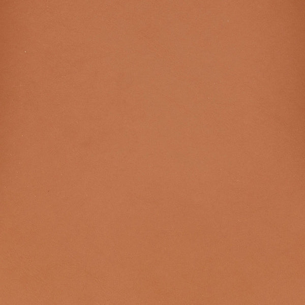 Safavieh Eamon Leather And Cane Dining Chair X23 Natural / Brown 21.5 IN W x 21.2 IN D x 29.9 IN H