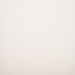 Safavieh Rogue Rattan Counter Stool Black / Natural SFV4207A