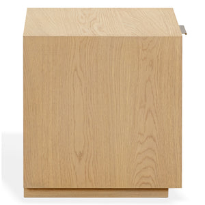 Safavieh Gabribecca Oak Veneer Nightstand with Brass Hardware Single Drawer Bedroom Storage GREIGE OAK SFV4278A