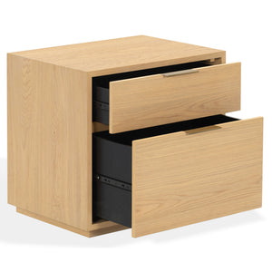 Safavieh Gabribecca Oak Veneer 2 Drawer Nightstand Brass Accents Contemporary Bedroom Storage GREIGE OAK SFV4279A