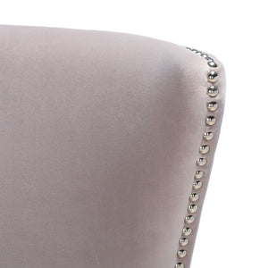 Safavieh GEODE Modern Wingback Chair - Luxurious Velvet Upholstery with Acrylic Legs for Stylish Comfort Pale Taupe SFV4745C