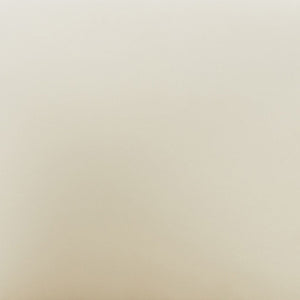 Safavieh WALLY Velvet Dining Chair in Cream – Elegant Comfort with Durable Design for Any Dining Space SFV4808B