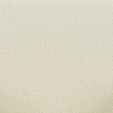 Safavieh Maisey Boucle Arm Chair Ivory Wood / Fabric / Foam SFV5053D