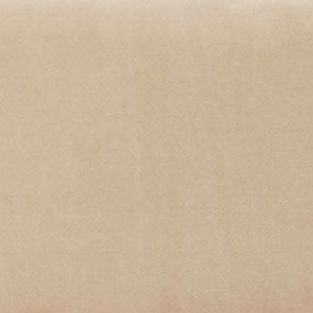 Safavieh Jayke Velvet Dining Chair Light Brown SFV5100B