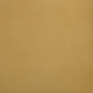 Safavieh Janalee Hammered Steel Square Coffee Table – Modern Centerpiece With Exquisite Texture And Style Brass Hammered Stainless Steel ,Metal Sfv7914b