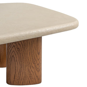 Safavieh Theodora Two-Tone Wood Coffee Table Low Profile Chestnut Top for Modern Living Rooms SFV9029A-2BX