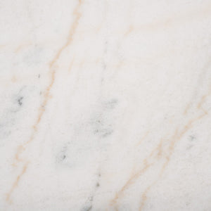 Safavieh Jessa Metal Coffee Table Black / White SFV9520D