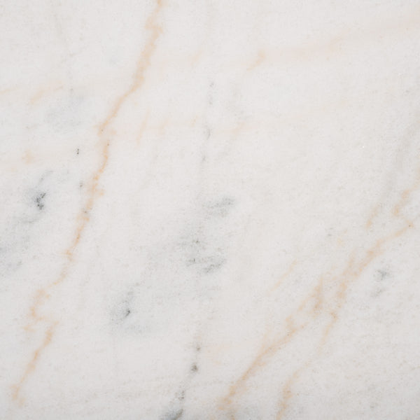 Safavieh Jessa Metal Coffee Table Black / White SFV9520D