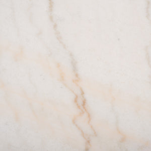 Safavieh Jessa Oval Metal Coffee Table Black / White SFV9521D