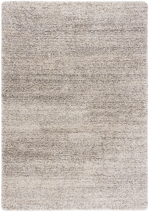 Safavieh Hudson Shag 295 Power Loomed Polypropylene Shag Rug Ivory / Grey SGH295B-6