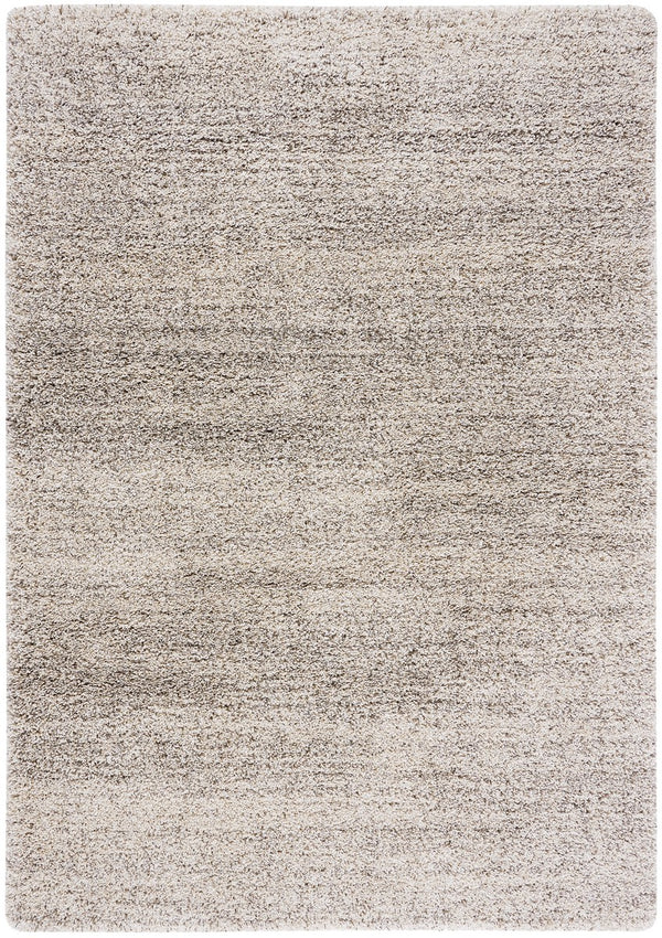 Safavieh Hudson Shag 295 Power Loomed Polypropylene Shag Rug Ivory / Grey SGH295B-6