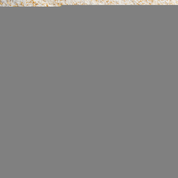 Safavieh Hudson Lush And Cozy Shag Rug From Turkey - Elegant Home Decor For Comfort And Style Upgrade Ivory ,Gold Polypropylene Sgh295g-9