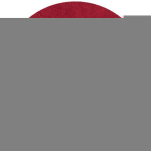 Safavieh Laguna Shag Area Rug – Luxurious Touch For Your Space, Exquisite Turkish Craftsmanship & Comfort Red Polypropylene Pile Sgl303h-5r