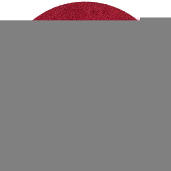 Safavieh Laguna Shag Area Rug – Luxurious Touch For Your Space, Exquisite Turkish Craftsmanship & Comfort Red Polypropylene Pile Sgl303h-5r