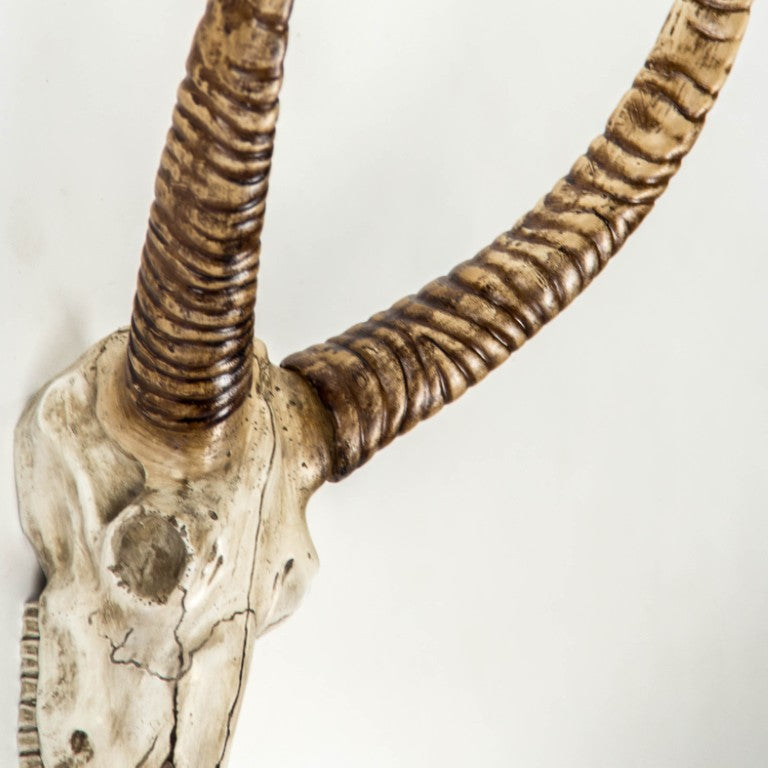 Zentique Goat Skull Wall Art - Thumbnail 2