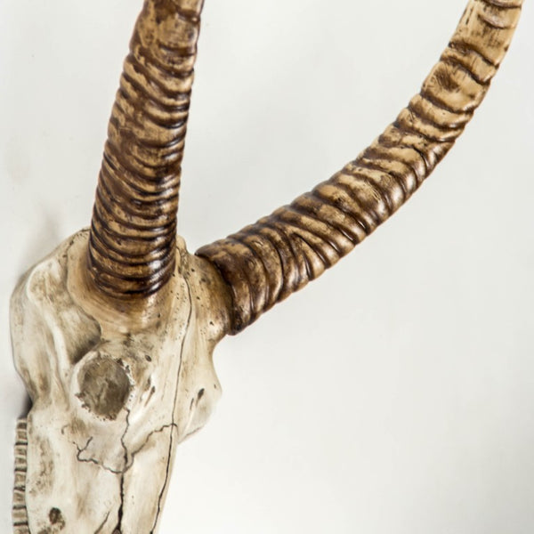 Zentique Goat Skull Wall Art: Realistic Polyresin Goat Skull Decor, Weathered Rustic Finish, Ready-to-Hang Statement Piece SHI001