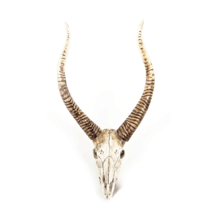 Zentique Goat Skull Wall Art