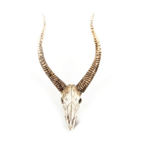 Zentique Goat Skull Wall Art: Realistic Polyresin Goat Skull Decor, Weathered Rustic Finish, Ready-to-Hang Statement Piece SHI001