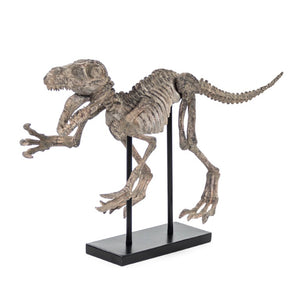 Zentique Velociraptor Polyresin Skeleton Display with Metal Accents on Removable Base — Realistic Décor 93 chars SHI002