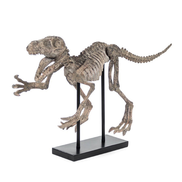 Zentique Velociraptor Polyresin Skeleton Display with Metal Accents on Removable Base — Realistic Décor 93 chars SHI002