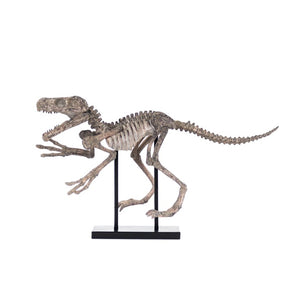 Zentique Velociraptor Polyresin Skeleton Display with Metal Accents on Removable Base — Realistic Décor 93 chars SHI002