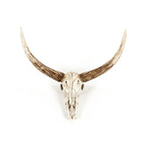 Bull Skull Wall Decor Distressed White and Brown SHI003 Zentique