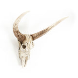 Bull Skull Wall Decor Distressed White and Brown SHI003 Zentique