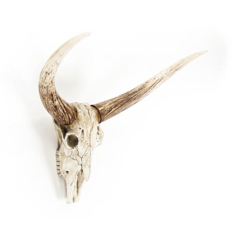 Zentique Bull Bull Skull Wall Decor: Realistic Polyresin Southwestern Accent with Hand-Painted Distressed Finish W26 x H19.5 x D14.5 SHI003