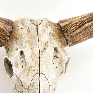 Zentique Bull Bull Skull Wall Decor: Realistic Polyresin Southwestern Accent with Hand-Painted Distressed Finish W26 x H19.5 x D14.5 SHI003