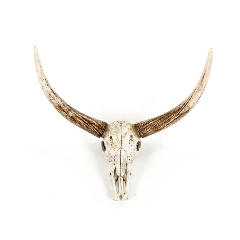 Zentique Bull Bull Skull Wall Decor: Realistic Polyresin Southwestern Accent with Hand-Painted Distressed Finish W26 x H19.5 x D14.5 SHI003