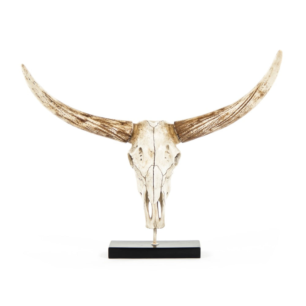 Bull Skull w/ Base Distressed White and Brown SHI010 Zentique