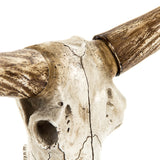 Bull Skull w/ Base Distressed White and Brown SHI010 Zentique