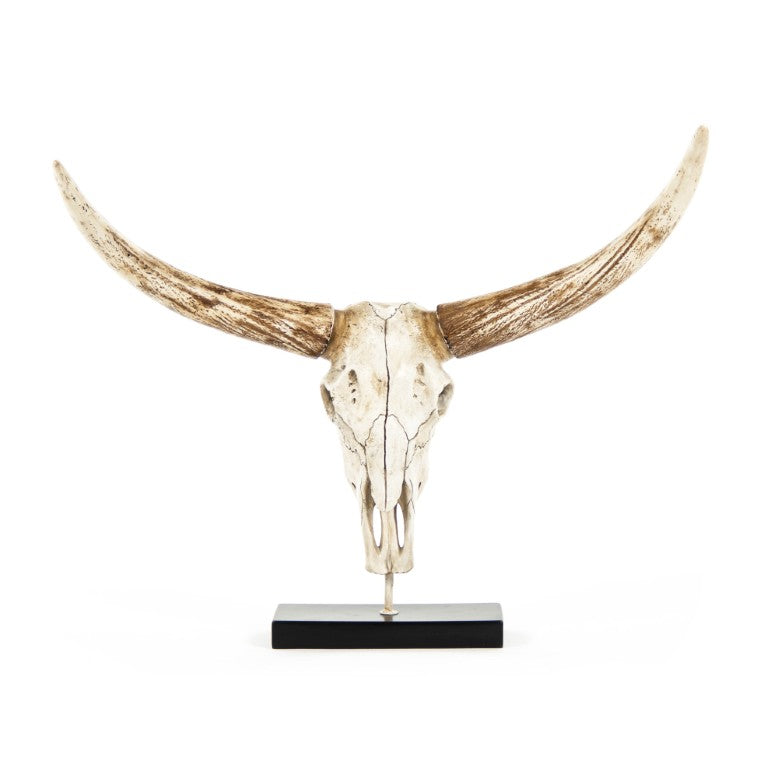 Zentique Bull Sculpted Skull on Base — Realistic Polyresin Bull Skull Decor, Rustic Southwestern Mantel Accent, 27x23.5x12 inches SHI010