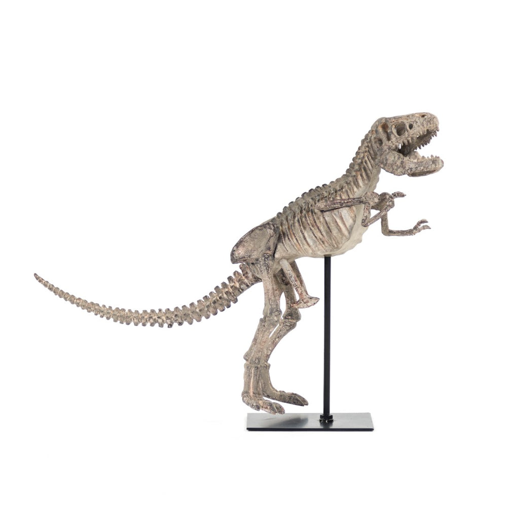 Zentique Dinosaur Skeleton With Base - Rustic Polyresin & Metal Décor For Home, Office, Or Unique Gift Idea! Distressed Brown Grey Polyresin,Metal Shi011