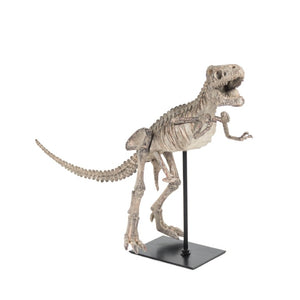Zentique Dinosaur Detailed Polyresin Skull on Metal Base — Museum-Style Realistic Bone Texture Décor Accent W19.5 x H14.5 x D6.5 SHI011