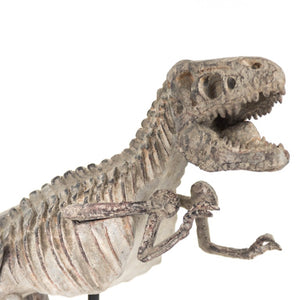 Zentique Dinosaur Detailed Polyresin Skull on Metal Base — Museum-Style Realistic Bone Texture Décor Accent W19.5 x H14.5 x D6.5 SHI011