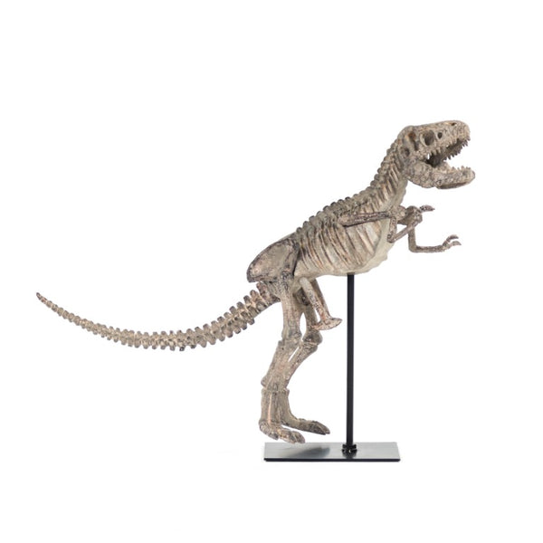 Zentique Dinosaur Detailed Polyresin Skull on Metal Base — Museum-Style Realistic Bone Texture Décor Accent W19.5 x H14.5 x D6.5 SHI011