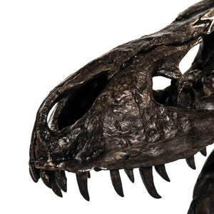 Zentique Dinosaur Detailed Polyresin Skull on Metal Base — Museum-Style Realistic Bone Texture Décor Accent W19.5 x H19.5 x D12 SHI014