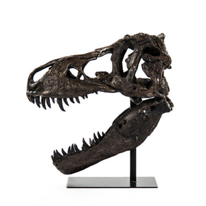 Zentique Dinosaur Detailed Polyresin Skull on Metal Base — Museum-Style Realistic Bone Texture Décor Accent W19.5 x H19.5 x D12 SHI014