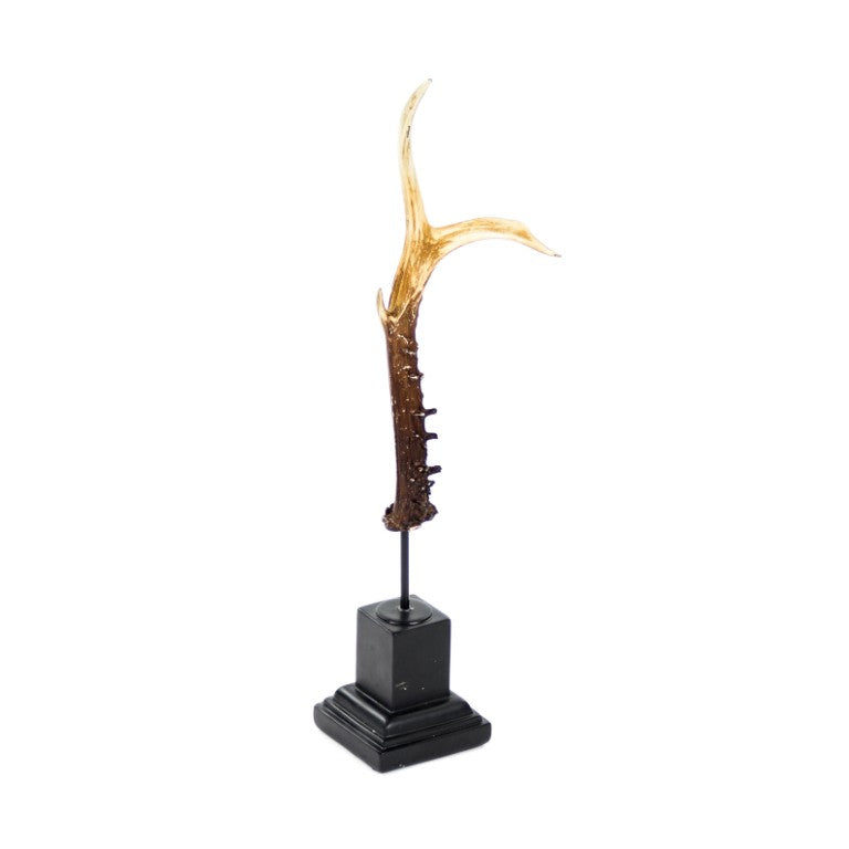 Zentique Antler Sculpted Polyresin Accent on Weighted Base, Lifelike Rustic Décor for Mantels & Shelves SHI015