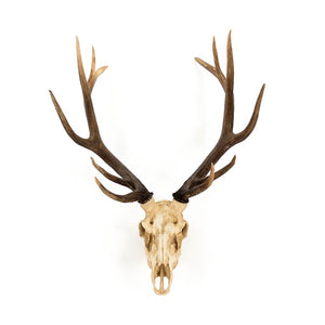 Zentique Deer Rustic Skull Wall Art Accent – Realistic Polyresin Deer Head Sculpture for Farmhouse, Cabin Decor Off-White Skull , Dark Brown Ombre Antlers SHI017