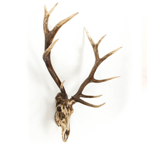 Zentique Deer Rustic Skull Wall Art Accent – Realistic Polyresin Deer Head Sculpture for Farmhouse, Cabin Decor Weathered Skull, Distressed Brown Antlers SHI018