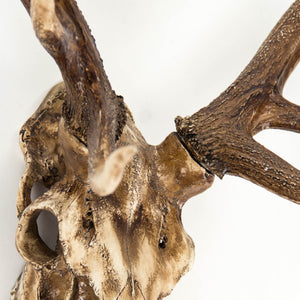 Zentique Deer Rustic Skull Wall Art Accent – Realistic Polyresin Deer Head Sculpture for Farmhouse, Cabin Decor Weathered Skull, Distressed Brown Antlers SHI018